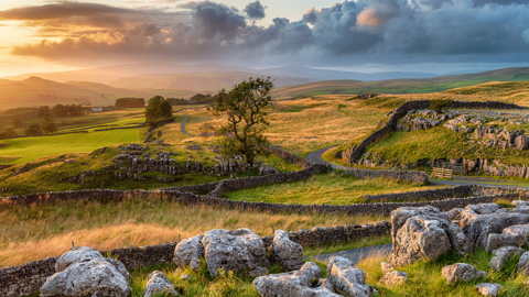 Adobestock 331018920